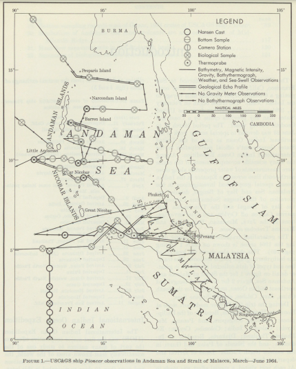 Sharon in English and Spanish