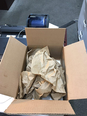 recycled paper laurel