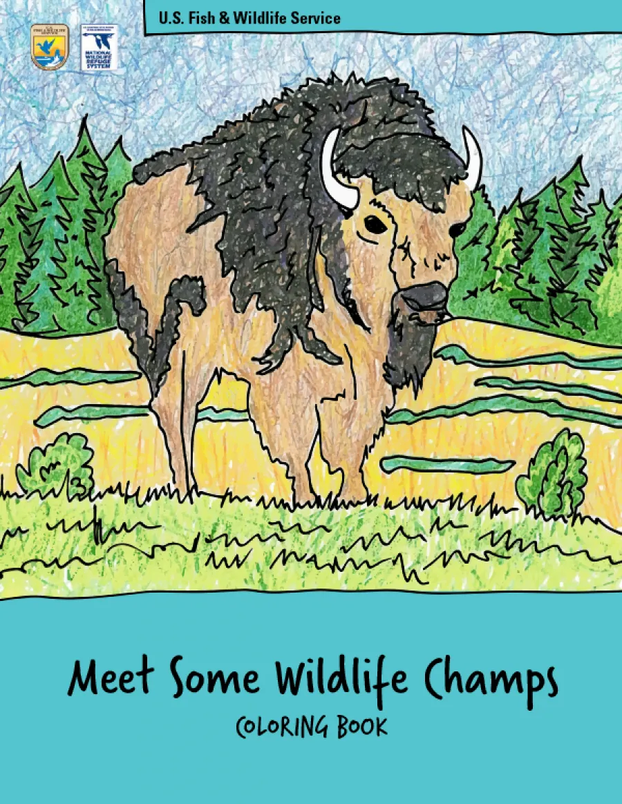 wildlife